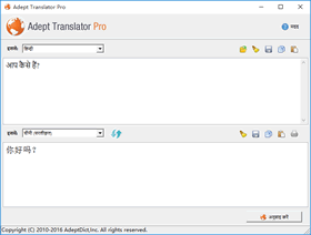 Adept Translator Pro - Hindi